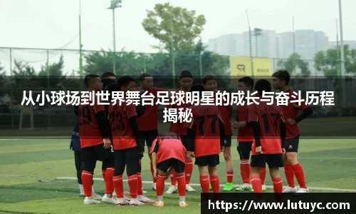 星空xingkong官方网站