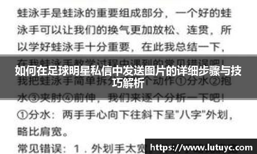 星空xingkong官方网站